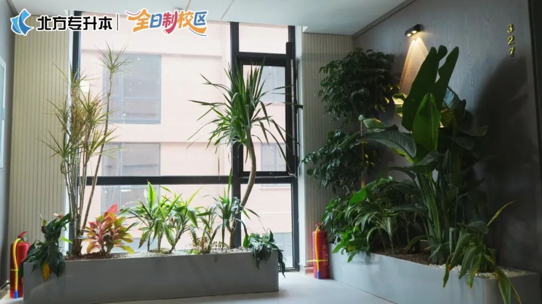 北方专升本全日制校区
